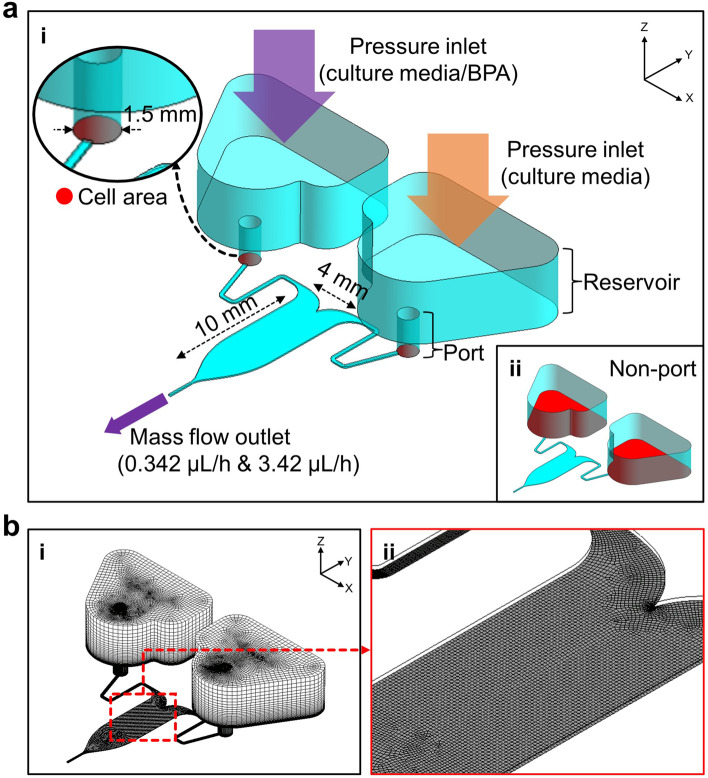 Fluid dynamic design for mitigating undesired cell effects and its application to testis cell response testing to endocrine disruptors.