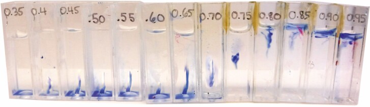 Measuring tissue water potential in marine macroalgae via an updated Chardakov method.