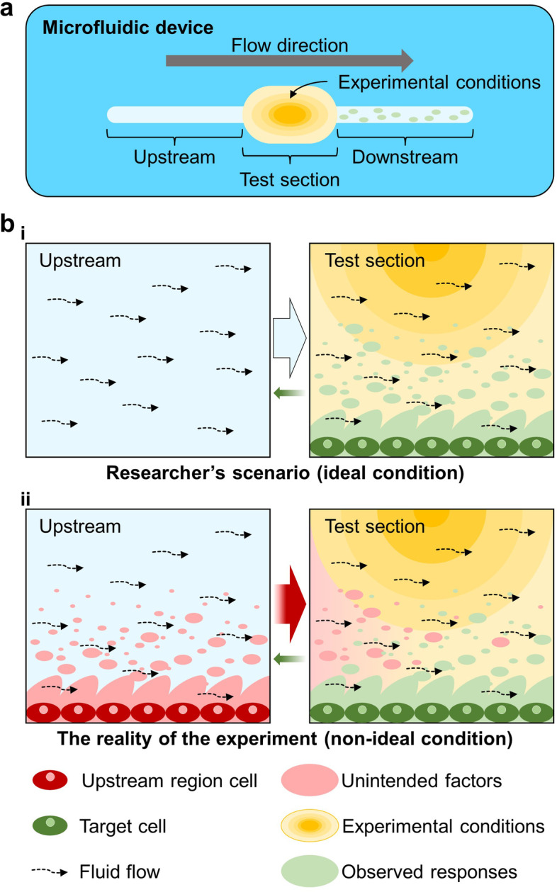 Fluid dynamic design for mitigating undesired cell effects and its application to testis cell response testing to endocrine disruptors.