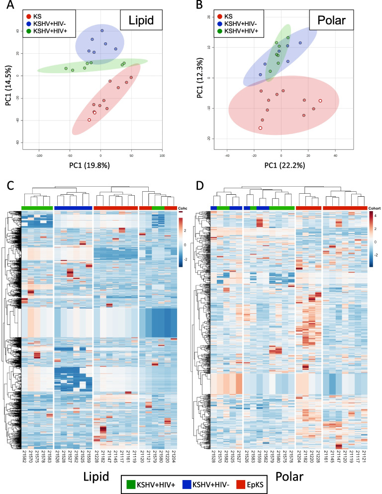 Comparative polar and lipid plasma metabolomics differentiate KSHV infection and disease states.