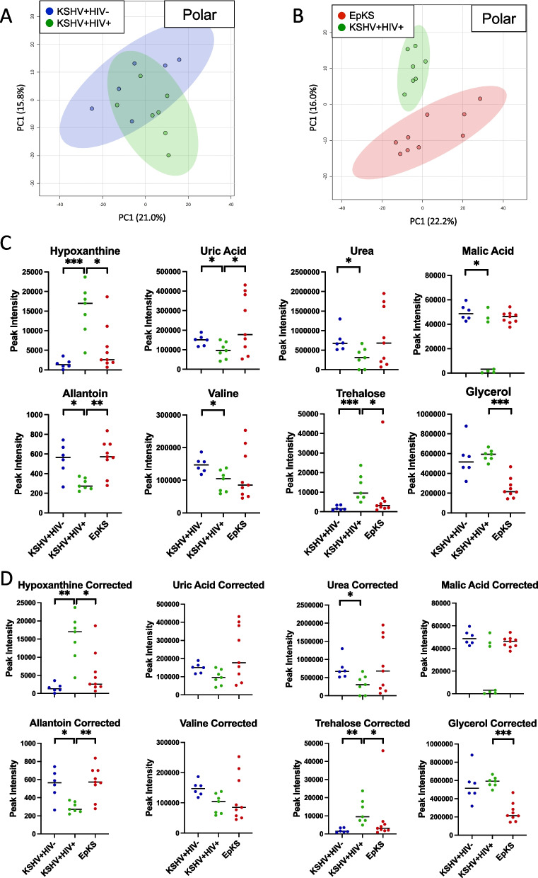 Comparative polar and lipid plasma metabolomics differentiate KSHV infection and disease states.