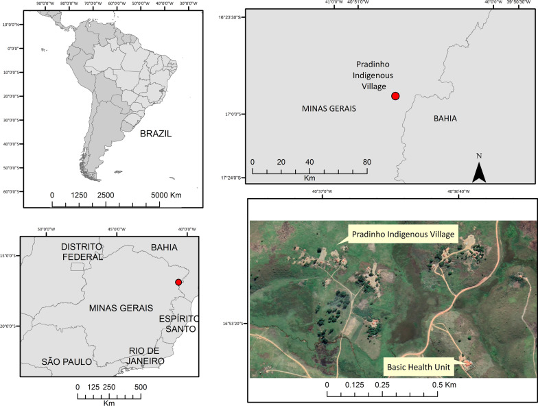 Rabies outbreak in Brazil: first case series in children from an indigenous village.