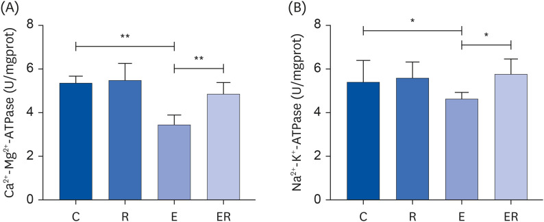 Resveratrol promotes mitochondrial energy metabolism in exercise-induced fatigued rats.