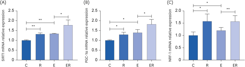 Resveratrol promotes mitochondrial energy metabolism in exercise-induced fatigued rats.