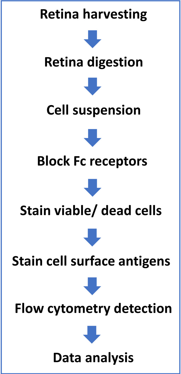 Multi-color Flow Cytometry Protocol to Characterize Myeloid Cells in Mouse Retina Research.