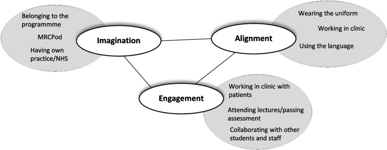 Becoming a podiatrist: an exploration of the practices and processes which underpin the acquisition of a professional identity.