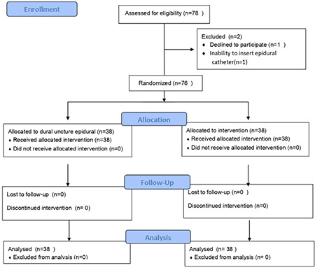 The Efficacy of Dural Puncture Epidural Performed by 27-gauge Whitacre Needle in Labour Epidural Analgesia: Randomized Single-Blinded Controlled Study.