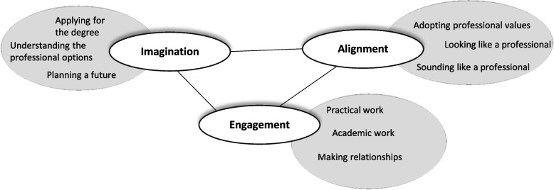 Becoming a podiatrist: an exploration of the practices and processes which underpin the acquisition of a professional identity.