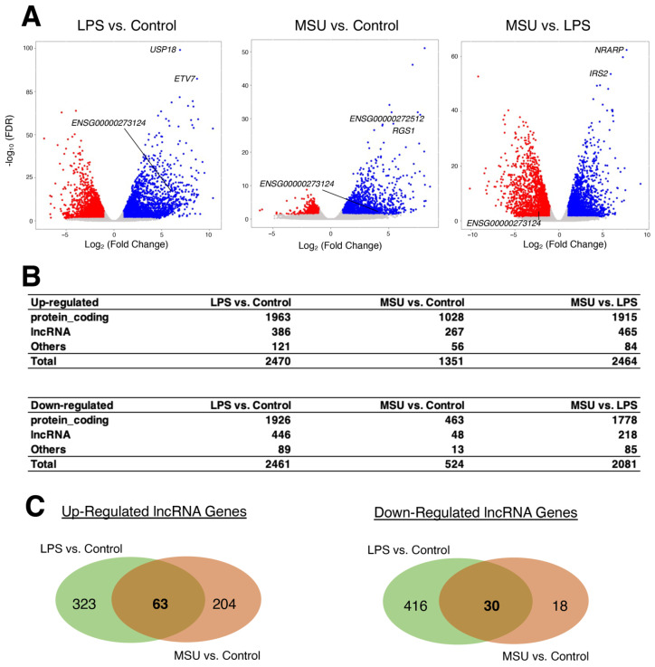 Systematic Analysis of Long Non-Coding RNAs in Inflammasome Activation in Monocytes/Macrophages.