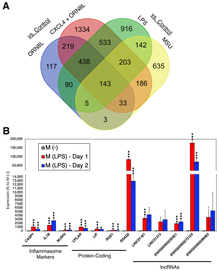 Systematic Analysis of Long Non-Coding RNAs in Inflammasome Activation in Monocytes/Macrophages.