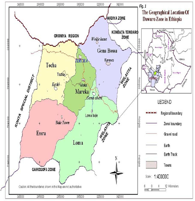 Coprological and postmortem assessment and economic significance of bovine fasciolosis in cattle slaughtered at Tarcha Municipal Abattoir, Southern Ethiopia