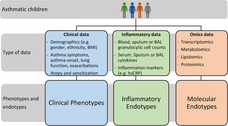 Childhood asthma phenotypes and endotypes: a glance into the mosaic.