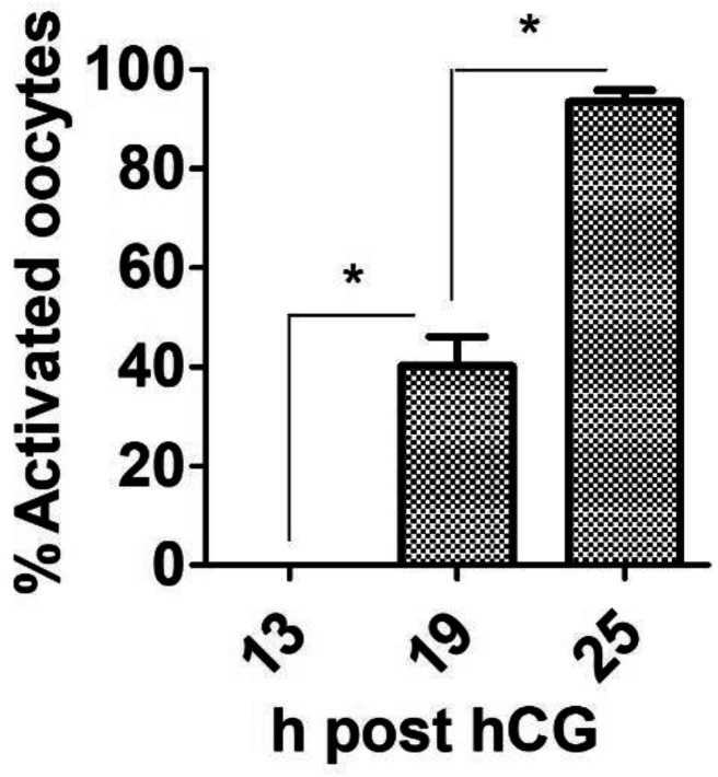 Role of calcium-sensing receptor in regulating activation susceptibility of postovulatory aging mouse oocytes.