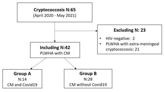 Meningeal cryptococcosis and SARS-CoV-2 infection in people living with HIV/AIDS.