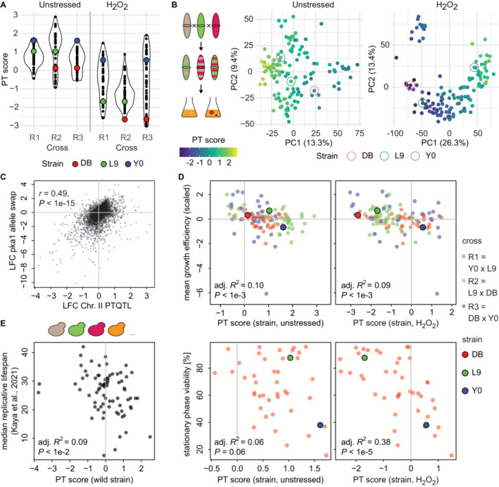 Genetic effects on molecular network states explain complex traits.