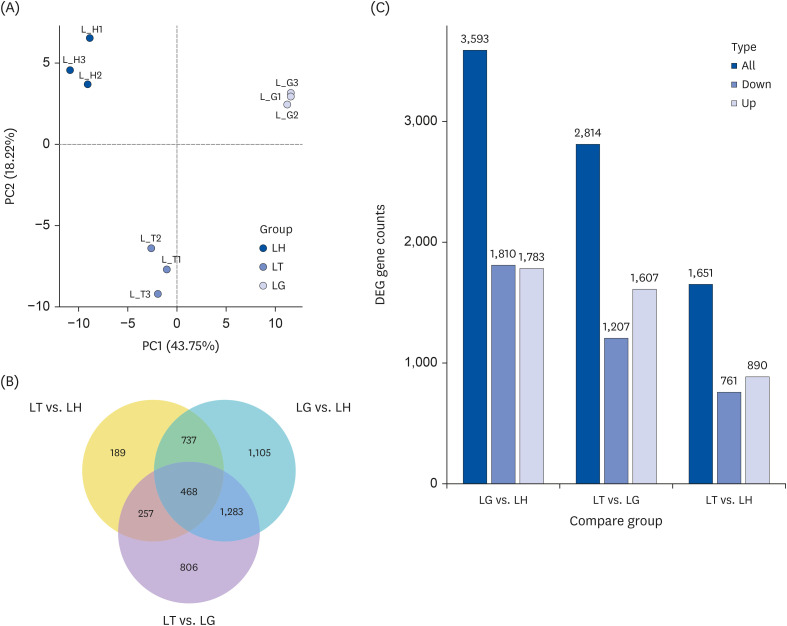 <i>In-silico</i> annotation of the chemical composition of Tibetan tea and its mechanism on antioxidant and lipid-lowering in mice.