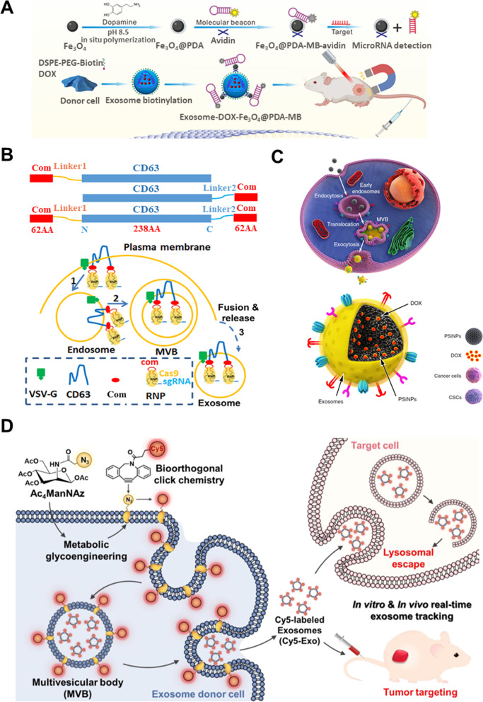 Disease-microenvironment modulation by bare- or engineered-exosome for rheumatoid arthritis treatment.