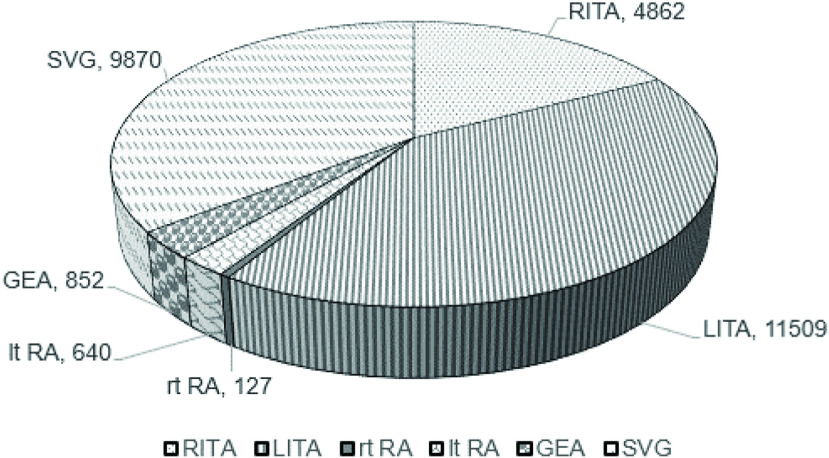 Annual Report for 2019 by the Japanese Association for Coronary Artery Surgery.