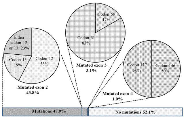 <i>KRAS</i> mutations and their associations with clinicopathological features and survival in Vietnamese non‑polyp colon cancer patients.