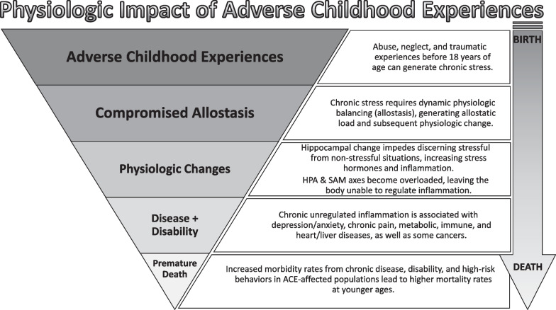 Adverse childhood experiences and trauma informed care for chiropractors: a call to awareness and action.