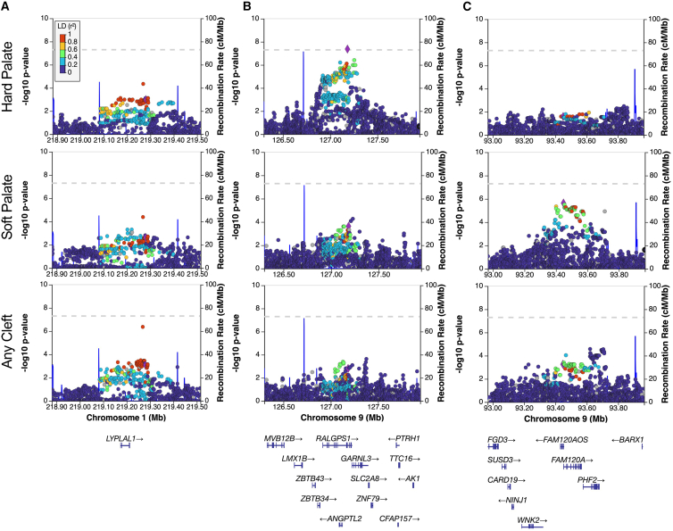 Trio-based GWAS identifies novel associations and subtype-specific risk factors for cleft palate.