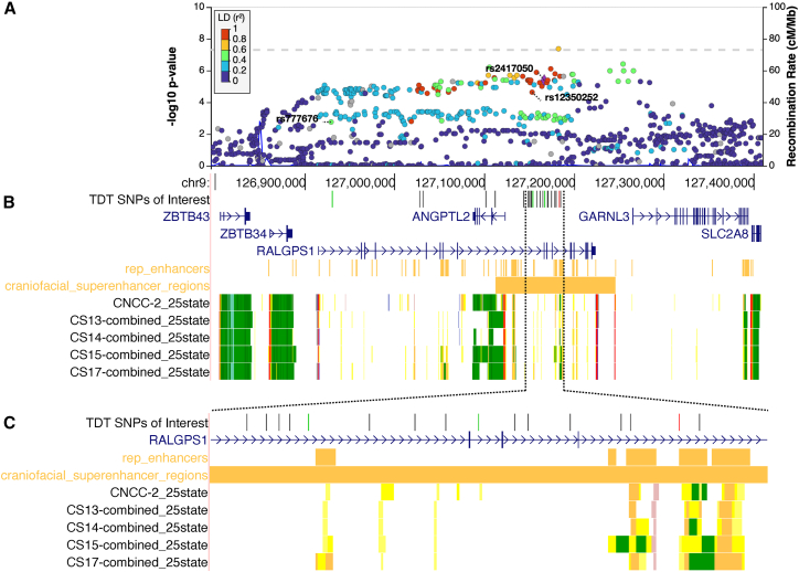 Trio-based GWAS identifies novel associations and subtype-specific risk factors for cleft palate.