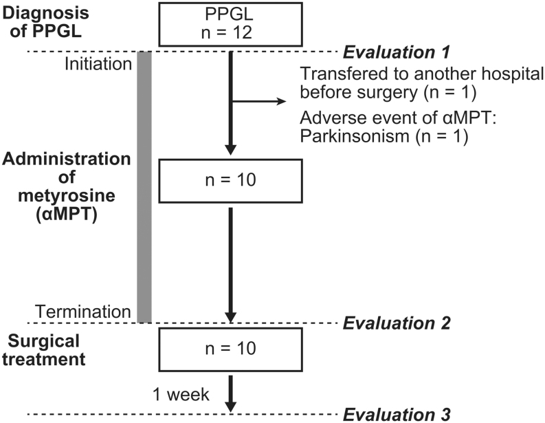 Metyrosine-associated endocrinological changes in pheochromocytoma and paraganglioma.