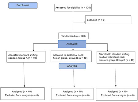 Nasogastric Tube Insertion in Intubated Patients: Comparison of Three Different Positions; Standard Sniffing Position, Additional Flexion of the Neck, and Standard Sniffing Position with Lateral Neck Pressure.