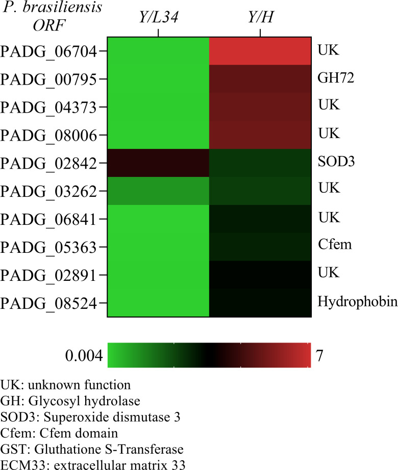 Identification and immunogenic potential of glycosylphosphatidylinositol-anchored proteins in <i>Paracoccidioides brasiliensis</i>.