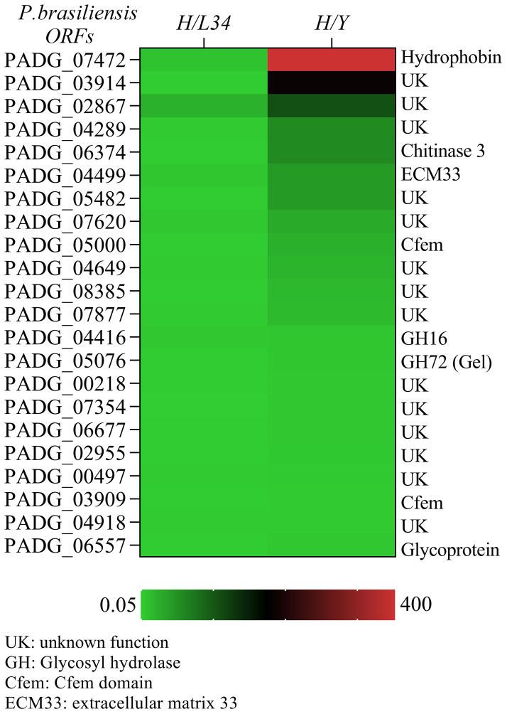 Identification and immunogenic potential of glycosylphosphatidylinositol-anchored proteins in <i>Paracoccidioides brasiliensis</i>.