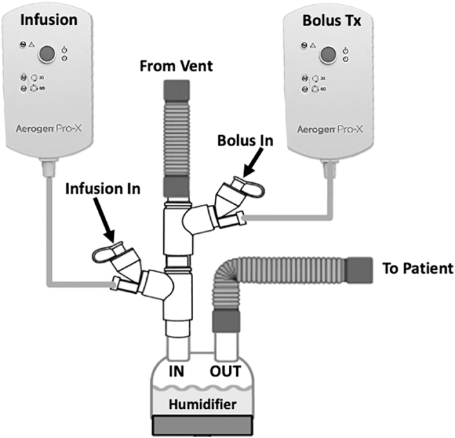 Multidrug Aerosol Delivery During Mechanical Ventilation.