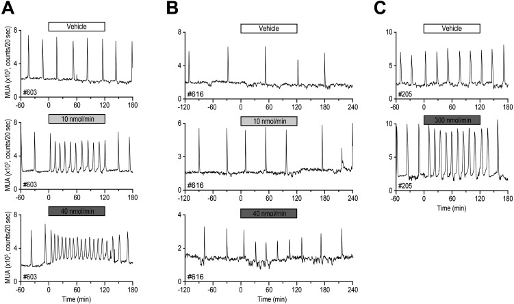 Continuous acceleration of neural activity of the GnRH pulse generator during chronic peripheral infusion of neurokinin 3 receptor agonist in goats.