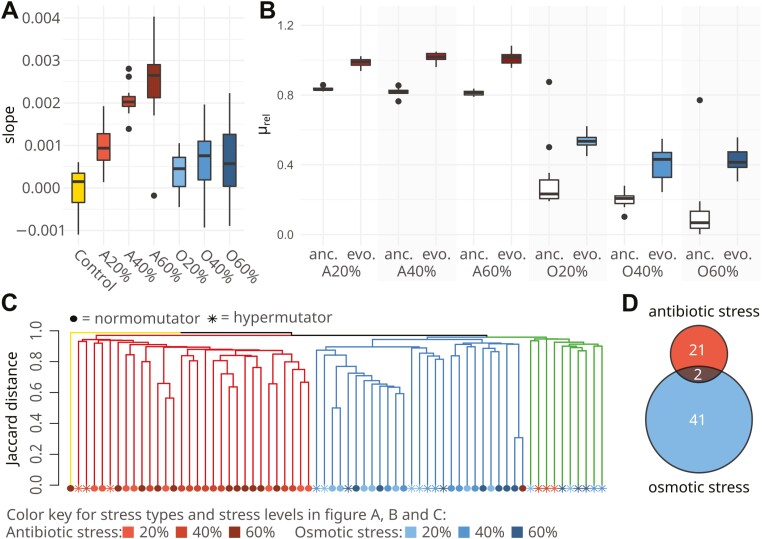 Hypermutator emergence in experimental <i>Escherichia coli</i> populations is stress-type dependent.