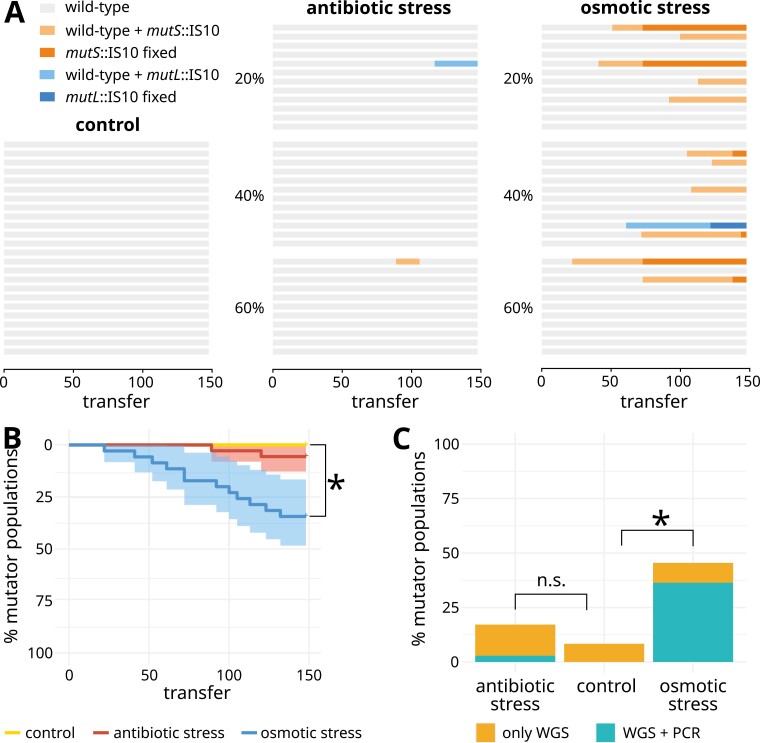 Hypermutator emergence in experimental <i>Escherichia coli</i> populations is stress-type dependent.