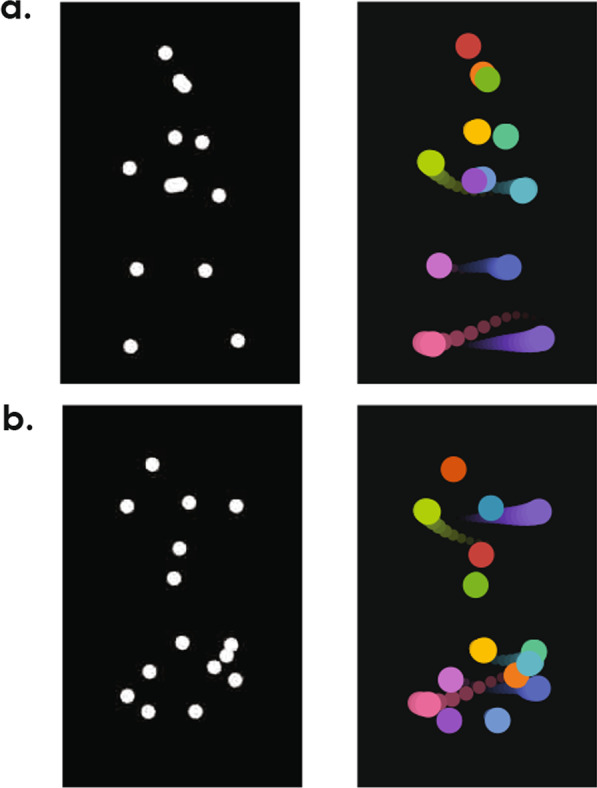 Aesthetic preferences for prototypical movements in human actions.