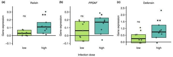 Trade-offs between immunity and competitive ability in fighting ant males.