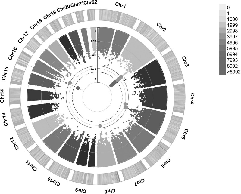 Genome-wide by environment interaction studies of maternal smoking and educational score in UK biobank.