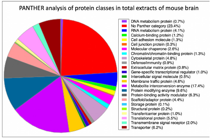 Mass spectrometry-based proteomic characterization of the middle-aged mouse brain for animal model research of neuromuscular diseases.