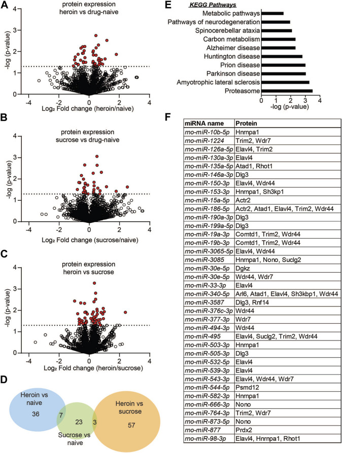 MicroRNA-mediated translational pathways are regulated in the orbitofrontal cortex and peripheral blood samples during acute abstinence from heroin self-administration.