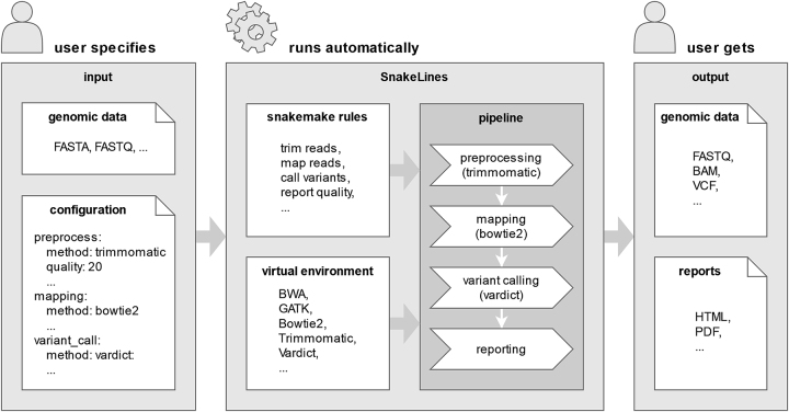 Abstract Image