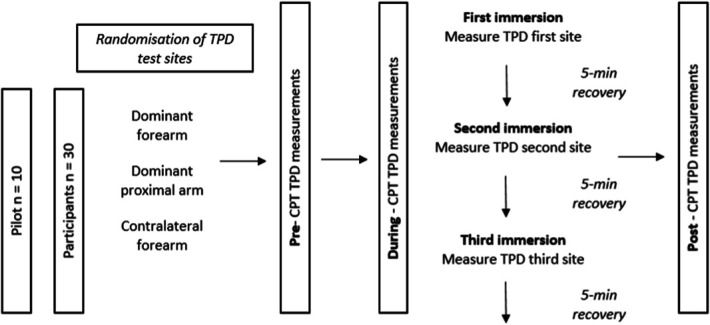 Tactile acuity improves during acute experimental pain of the limb.