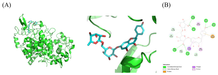 Identification for metabolism profiles and pharmacokinetic studies of tradition Chinese prescription Ji-Ming-San and its major metabolites in rats by UHPLC-Q-TOF-MS/MS and UHPLC-MS/MS.