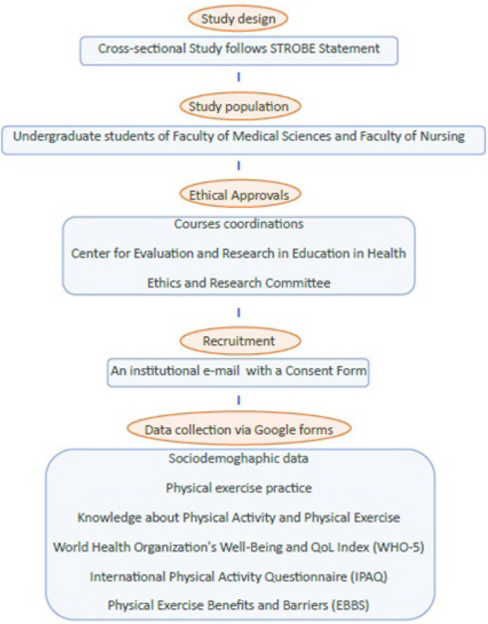 Physical Exercise Pattern for Undergraduate Students and Its Importance in the Quality of Life, Well-Being, and Future Patient Orientation.