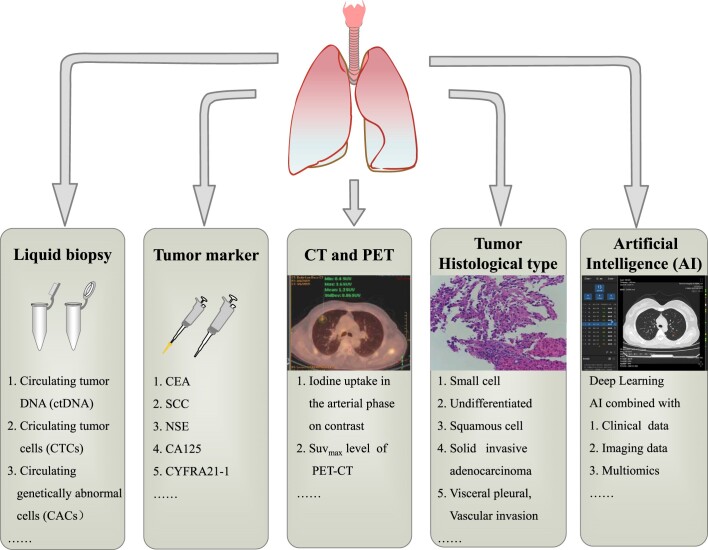Advances in diagnosis and prediction for aggression of pure solid T1 lung cancer.