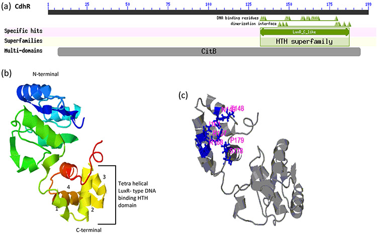 The involvement of CdhR in Porphyromonas gingivalis during nitric oxide stress.