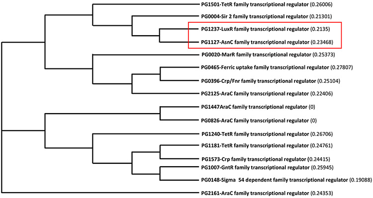 The involvement of CdhR in Porphyromonas gingivalis during nitric oxide stress.