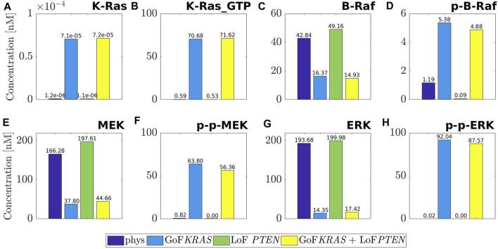 <i>In-silico</i> modelling of the mitogen-activated protein kinase (MAPK) pathway in colorectal cancer: mutations and targeted therapy.