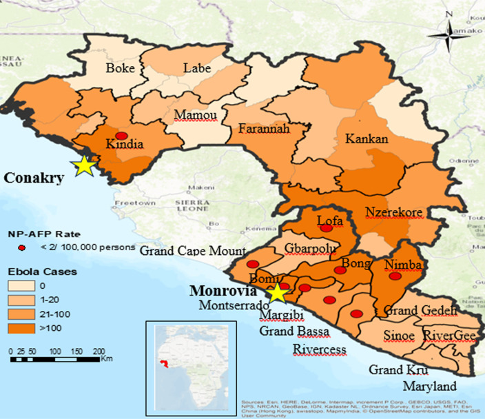 Evaluation of acute flaccid paralysis surveillance performance before and during the 2014-2015 Ebola virus disease outbreak in Guinea and Liberia.
