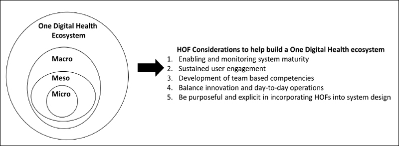 The Role of Human and Organizational Factors in the Pursuit of One Digital Health.