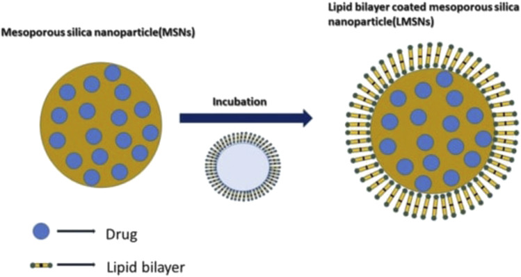 Lipid-based oral formulation in capsules to improve the delivery of poorly water-soluble drugs.